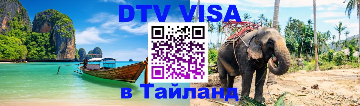 Сколько стоит DTV виза — актуальные цены, оформление даже без документов - 19.11.2025 